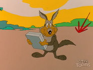 Willie Wombat's Deja Boo-Boo