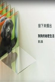 狗狗的秘密生活 Episode Rating Graph poster