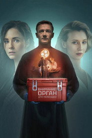 The Surgeon постер