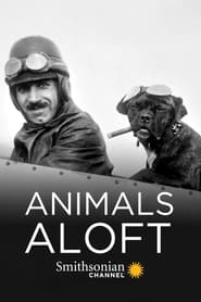 Animals Aloft