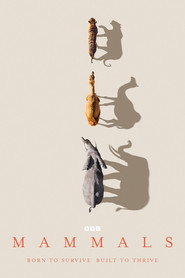 Mammals постер