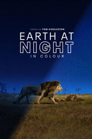 Earth at Night in Colour