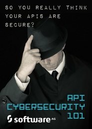 API Cybersecurity 101 poster