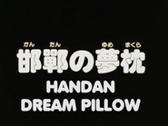 Handan Dream Pillow