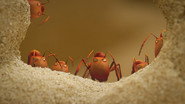 Sand castle