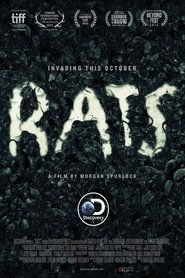 Rats Rats