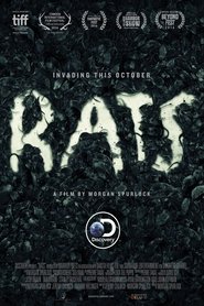 Poster for Rats