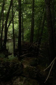 Mil veces, sin importarle el tiempo...