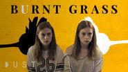 Burnt Grass
