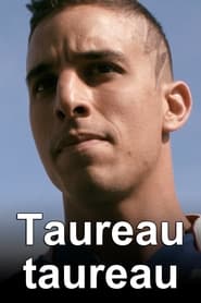 Poster Taureau Taureau