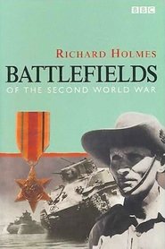 Poster Battlefields 2001