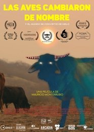 The Birds Changed Names And The World Turned Into Ice (2022)