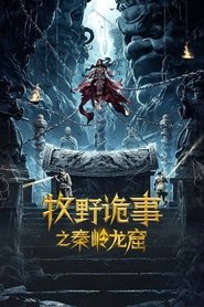 Mystery of Muye: Qinling Dragon Grottoes (2020) Dual Audio Movie Download & Watch Online [Hindi ORG & Taiwan] WEB-DL 480p, 720p & 1080p