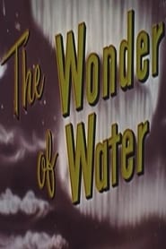 The Wonder Of Water