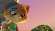 Cosmo, the Astronaut Cat