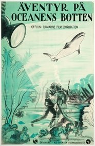 Poster Wonders of the Sea