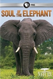 Soul of the Elephant (2015)