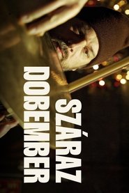 Poster Száraz dobember 2024