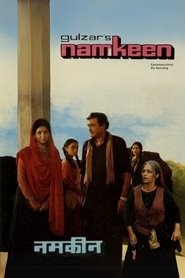 Pôster de Namkeen