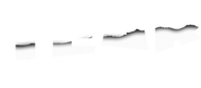 Tear Along the Dotted Line Logo