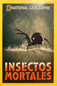 Bug Attack