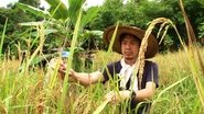 Malaysia Part 2 - The Village of Bountiful Nature