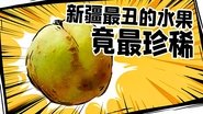 Episode 47