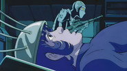 Cobra died!?
