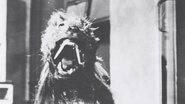 The Killer Shrews 