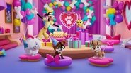 1. Happy Barkday