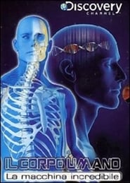 Il corpo umano - La macchina incredibile