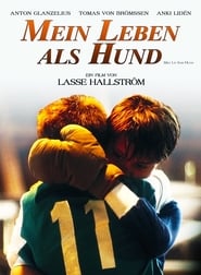 Mein Leben als Hund 1985 Online Stream Deutsch