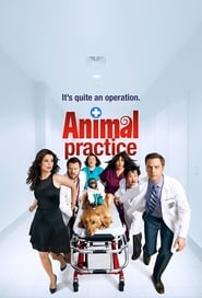 Animal Practice poster