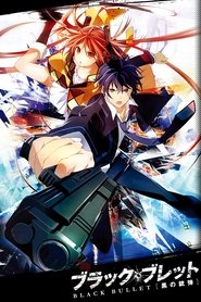 Black Bullet