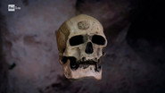 Neanderthals - The Enigma of Their Disappearance