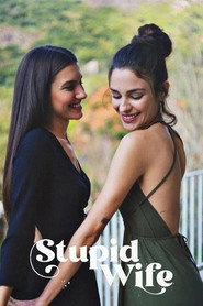 Stupid Wife постер