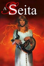 A Seita movie poster player