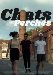 Poster Chats perchés