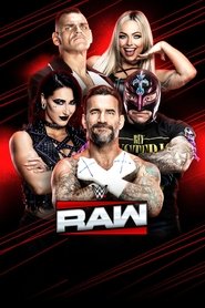 Poster Raw - Season 27 Episode 41 : Episodio 41 2025