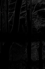 The Heart of the Wood