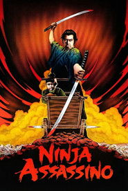 Pôster de Ninja Assassino
