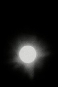 Poster The Transit of Venus 2005