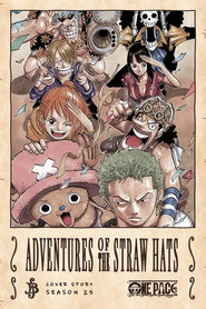 The Adventures of the Straw Hats