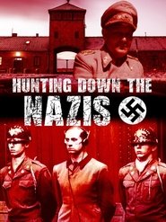 Poster Hunting Down The Nazis 2009