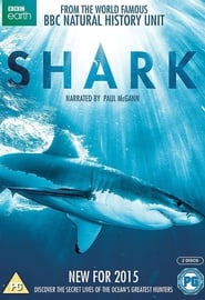 Shark poster