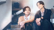 콘트라스트