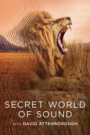 Secret World of Sound with David Attenborough