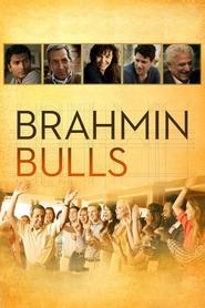 Brahmin Bulls постер