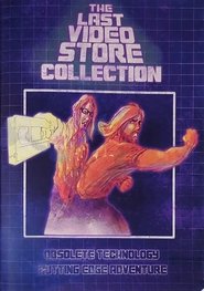 Poster The Last Videostore 2013
