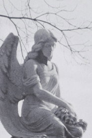 Angel постер